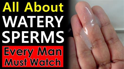 Watery semen can be due to several reasons like low sperm count, frequent ejaculations, and Zinc deficiency. . What does watery sperm indicate